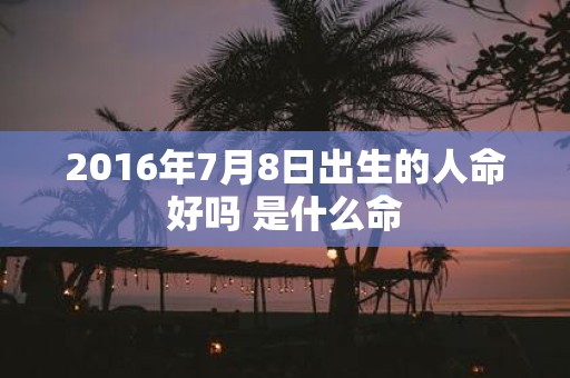 2016年7月8日出生的人命好吗 是什么命
