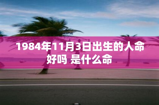 1984年11月3日出生的人命好吗 是什么命