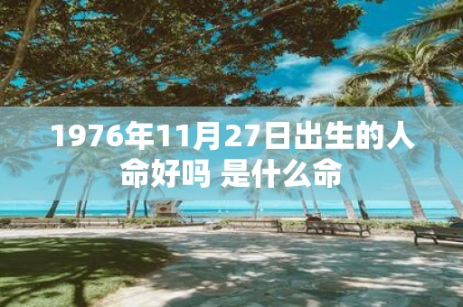1976年11月27日出生的人命好吗 是什么命