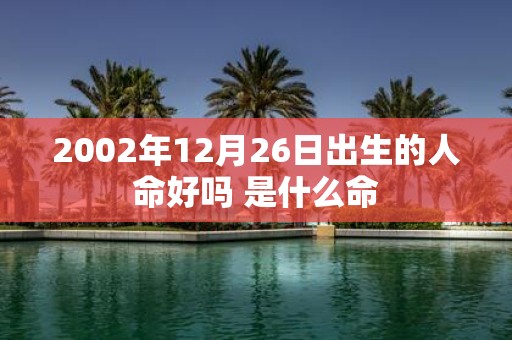 2002年12月26日出生的人命好吗 是什么命