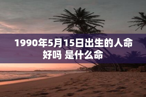 1990年5月15日出生的人命好吗 是什么命
