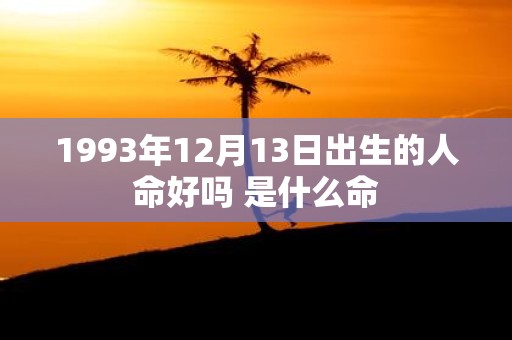 1993年12月13日出生的人命好吗 是什么命