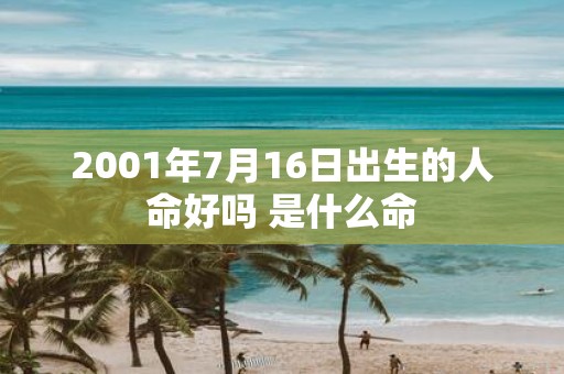 2001年7月16日出生的人命好吗 是什么命