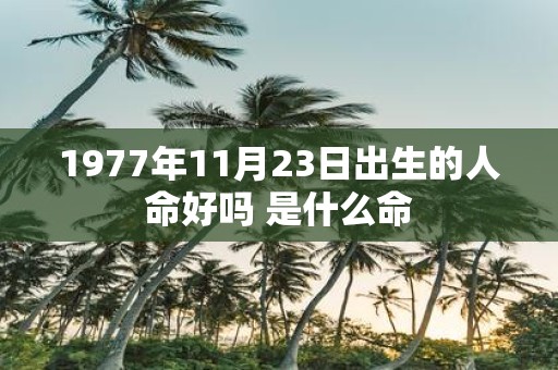 1977年11月23日出生的人命好吗 是什么命