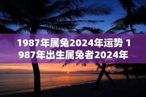 1987年属兔2025年运势 1987年出生属兔者2025年运势如何
