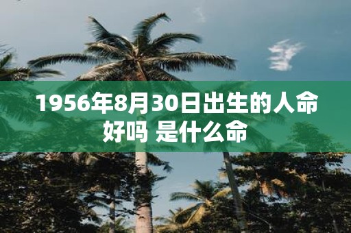 1956年8月30日出生的人命好吗 是什么命