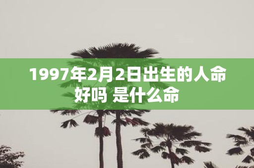 1997年2月2日出生的人命好吗 是什么命