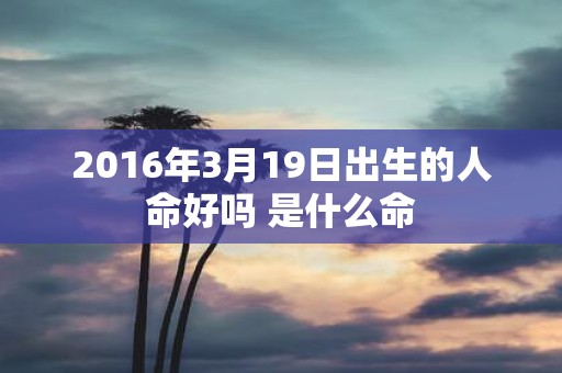 2016年3月19日出生的人命好吗 是什么命