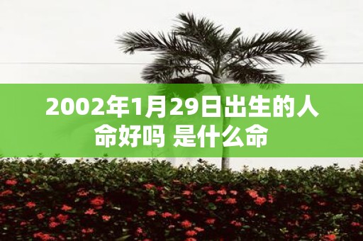 2002年1月29日出生的人命好吗 是什么命
