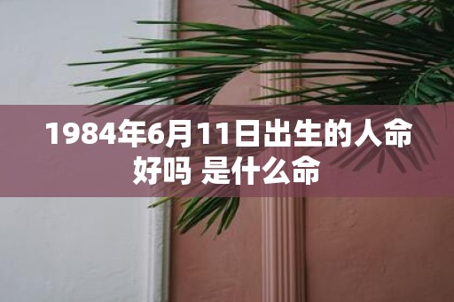 1984年6月11日出生的人命好吗 是什么命