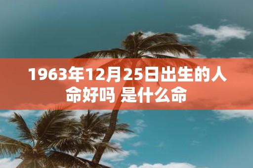 1963年12月25日出生的人命好吗 是什么命