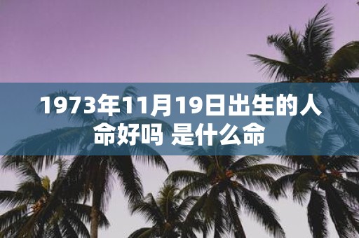 1973年11月19日出生的人命好吗 是什么命