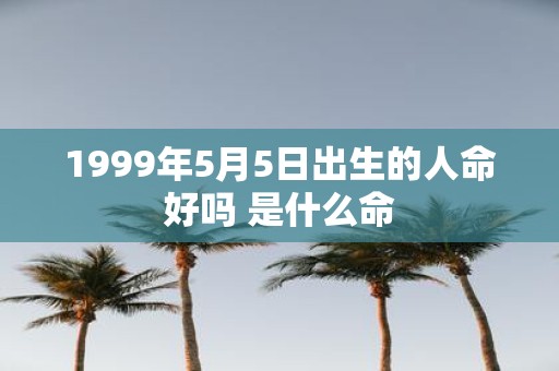 1999年5月5日出生的人命好吗 是什么命