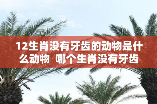 12生肖没有牙齿的动物是什么动物 哪个生肖没有牙齿