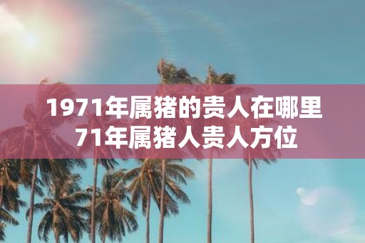1971年属猪的贵人在哪里 71年属猪人贵人方位