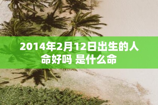 2014年2月12日出生的人命好吗 是什么命