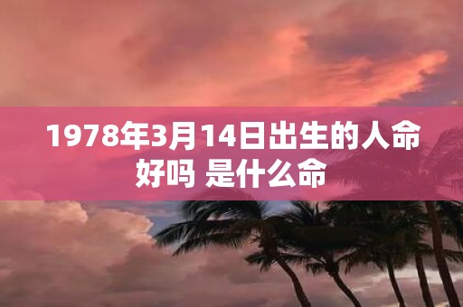 1978年3月14日出生的人命好吗 是什么命