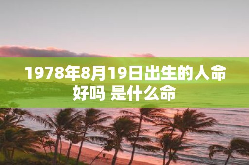 1978年8月19日出生的人命好吗 是什么命