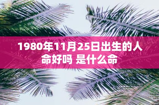 1980年11月25日出生的人命好吗 是什么命