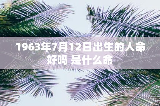 1963年7月12日出生的人命好吗 是什么命