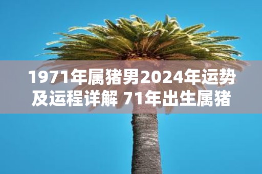 1971年属猪男2025年运势及运程详解 71年出生属猪人2025全年每月运势男性