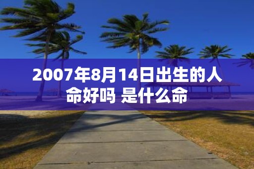 2007年8月14日出生的人命好吗 是什么命