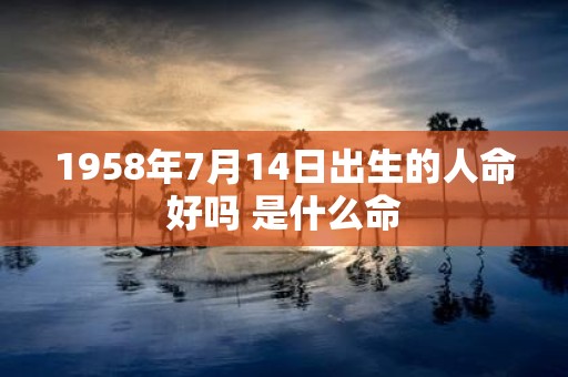 1958年7月14日出生的人命好吗 是什么命