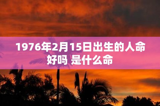 1976年2月15日出生的人命好吗 是什么命
