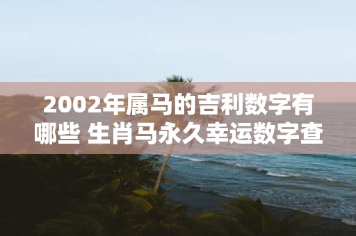 2002年属马的吉利数字有哪些 生肖马永久幸运数字查询