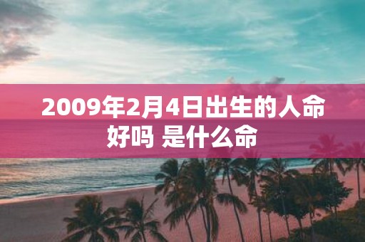 2009年2月4日出生的人命好吗 是什么命
