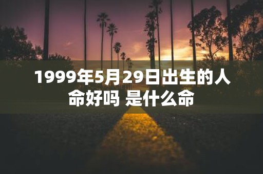 1999年5月29日出生的人命好吗 是什么命