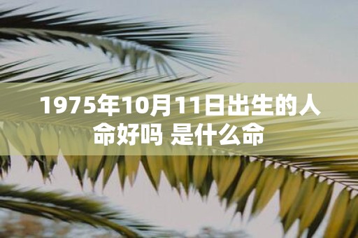 1975年10月11日出生的人命好吗 是什么命