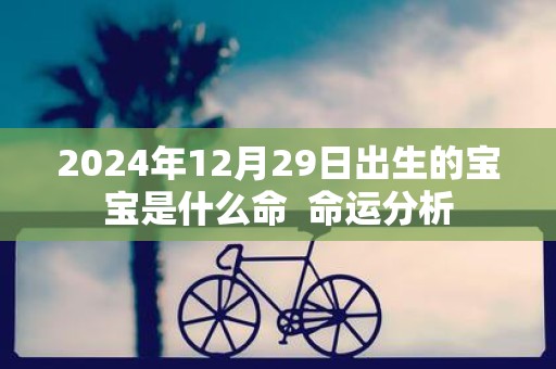 2025年12月29日出生的宝宝是什么命 命运分析