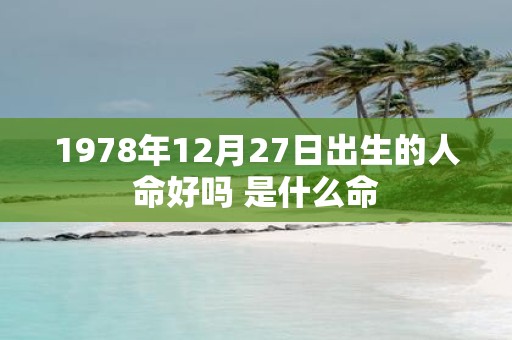 1978年12月27日出生的人命好吗 是什么命
