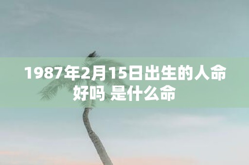 1987年2月15日出生的人命好吗 是什么命