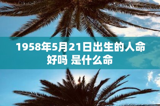 1958年5月21日出生的人命好吗 是什么命