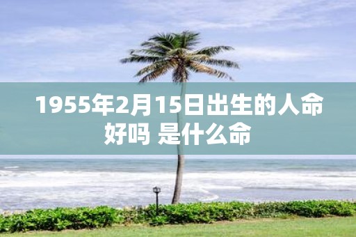 1955年2月15日出生的人命好吗 是什么命