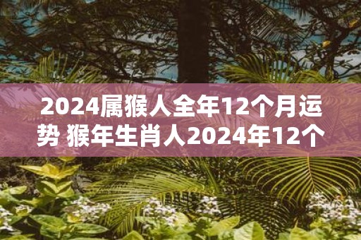 2025属猴人全年12个月运势 猴年生肖人2025年12个月运势如何