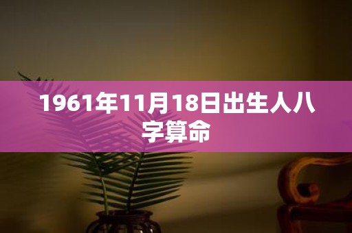 1961年11月18日出生人八字算命