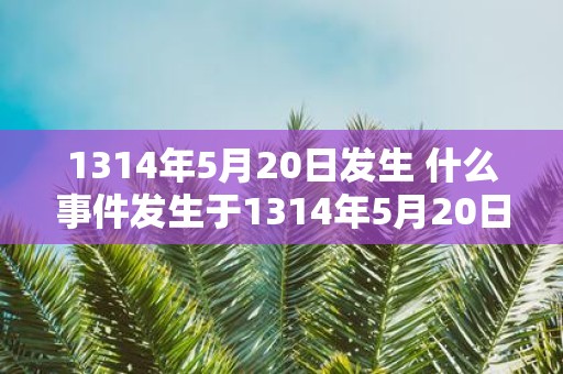 1314年5月20日发生 什么事件发生于1314年5月20日