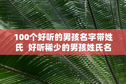 100个好听的男孩名字带姓氏 好听稀少的男孩姓氏名字