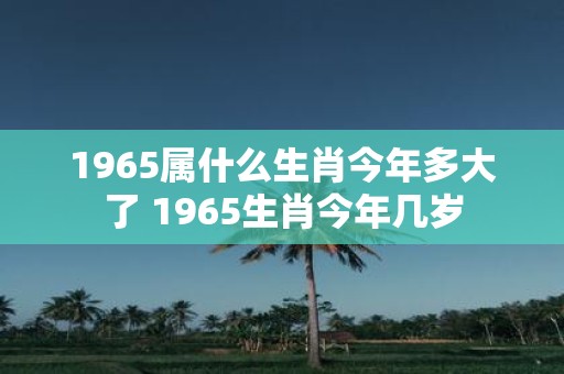 1965属什么生肖今年多大了 1965生肖今年几岁