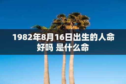 1982年8月16日出生的人命好吗 是什么命