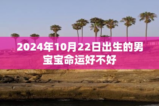 2025年10月22日出生的男宝宝命运好不好