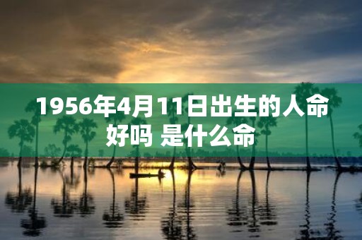 1956年4月11日出生的人命好吗 是什么命
