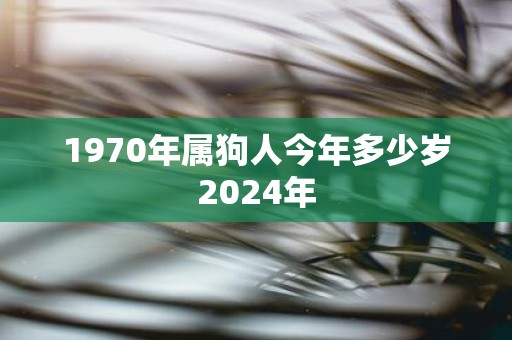 1970年属狗人今年多少岁2025年