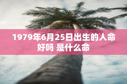 1979年6月25日出生的人命好吗 是什么命