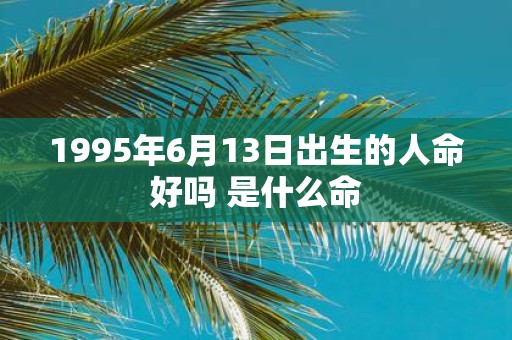 1995年6月13日出生的人命好吗 是什么命