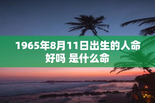 1965年8月11日出生的人命好吗 是什么命
