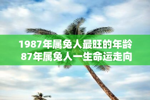 1987年属兔人最旺的年龄 87年属兔人一生命运走向